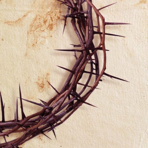 paques bible genese jesus vie éternelle