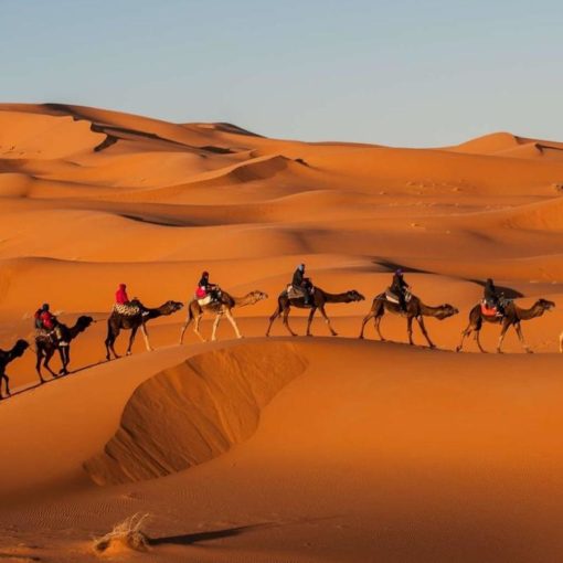 genese joseph egypte freres jacob israel Bible