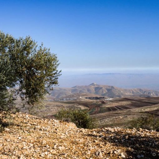 ruben gad demi tribu-manasse israel josue bible