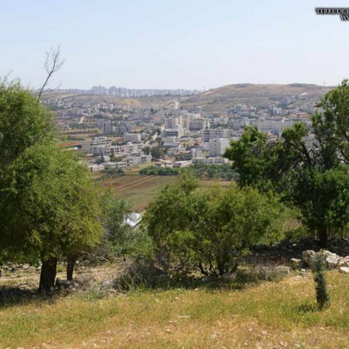 ville gabaon aujourdhui el jib