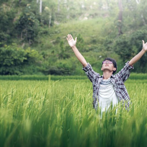 fidelite de Dieu Bible livre josue 21