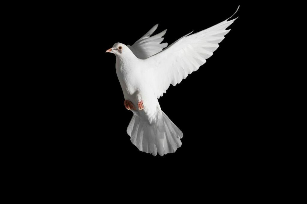 peche contre saint esprit blaspheme impardonnable bible